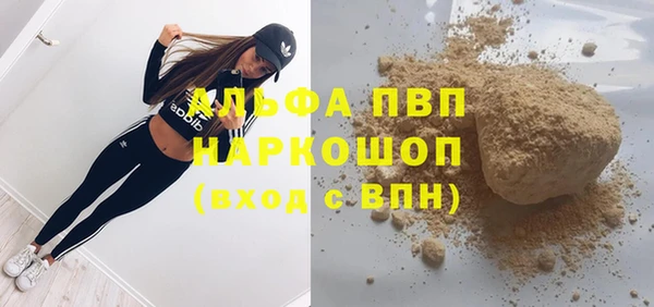 амф Дмитриев