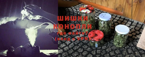 амф Дмитриев