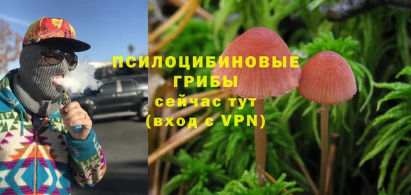амф Дмитриев