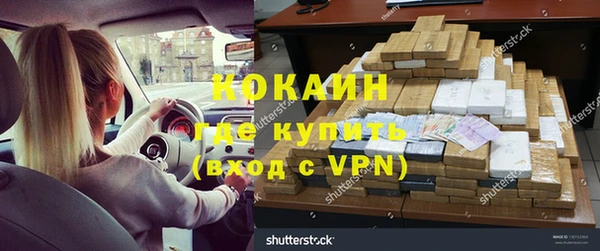 амф Дмитриев