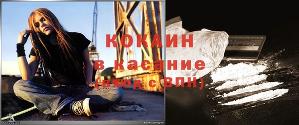 амф Дмитриев