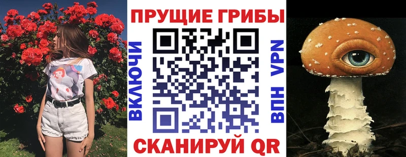 Купить  Сусуман  Псилоцибиновые грибы прущие грибы 