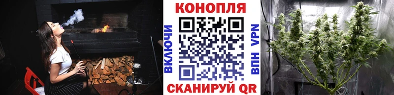 Каннабис OG Kush  Купить где  Сусуман 